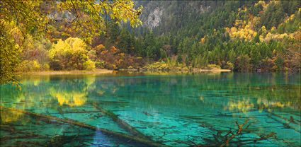 Jiuzhaigou National Park - China T (PBH4 00 15432)